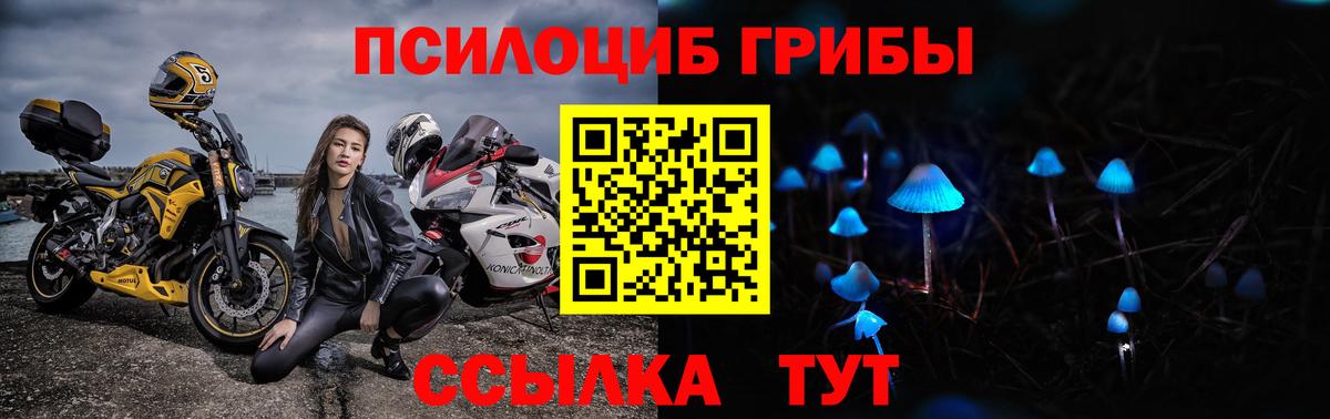 Галлюциногенные грибы GOLDEN TEACHER Сыктывкар
